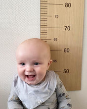 Indlæs billede til gallerivisning Højdemåler