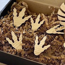 Indlæs billede til gallerivisning Dinosaurer klør